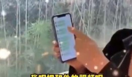 张兰爆料徐妈妈是谁啊视频,徐妈妈身份之谜