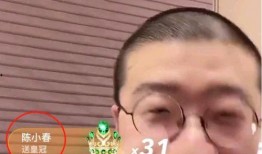 网红爆料李某某视频,事件引发热议