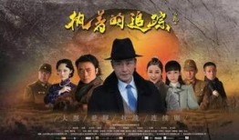 执着的追踪在线观看,揭秘真相的追击之旅