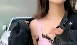 主播脱内衣在线观看,主播脱衣事件全程回顾