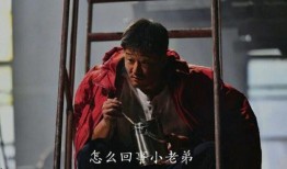 苏醒爆料吴京视频播放,视频播放背后的惊人内幕