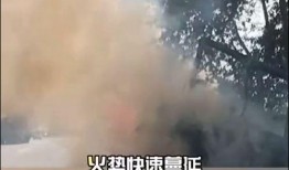极度燃烧上在线观看,在线观看，燃情时刻尽在掌握