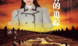 执着的追踪在线观看,揭秘真相的追击之旅