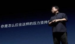 最新爆料罗永浩,揭秘创业之路的坎坷与辉煌”