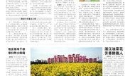 爆料关于闵行区的新闻,聚焦区域发展动态与民生热点