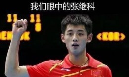 张继科八卦爆料内容视频,真相与传闻的交织