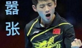 张继科最近爆料新闻,揭秘体育界不为人知的背后真相