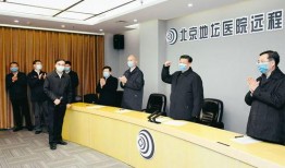 平果市大新闻爆料电话,揭秘最新动态！