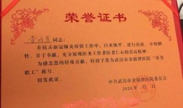 援鄂医疗队爆料新闻稿,生死时速，共筑生命防线”