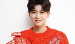 带你吃娱乐圈瓜任嘉伦,娱乐圈瓜中崛起的璀璨明星