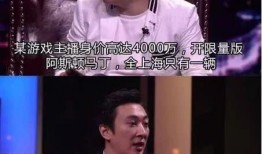 娱乐网爆料王思聪是谁啊