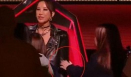 李玟妹妹爆料视频,揭秘明星家庭背后的故事