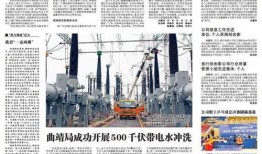 俄罗斯电网爆料新闻,揭秘电网安全与运营危机