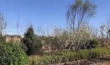 张家口公园爆料视频,揭秘公园里的惊人秘密