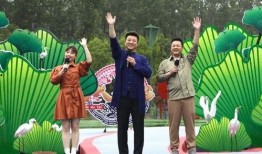 仙鱼最新爆料新闻报道视频,最新爆料新闻报道视频深度解析