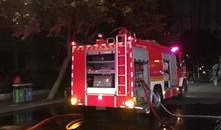 成都武侯区最新爆料新闻,最新爆料揭示惊人真相