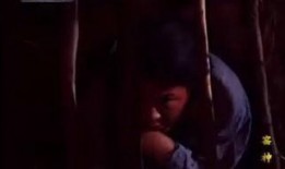 窑神电视剧在线观看,传奇陶艺师的奇幻之旅在线观看指南