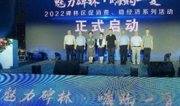 啤酒最新爆料新闻视频,啤酒行业新动态，独家视频爆料揭示行业变革