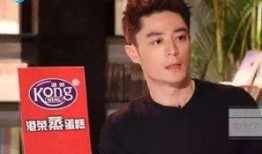 霍建华台湾爆料视频,揭秘娱乐圈不为人知的真相