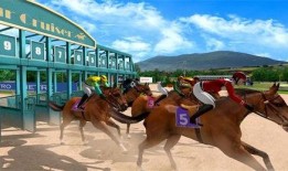 飞马最新爆料新闻,揭秘娱乐圈惊天大事件！