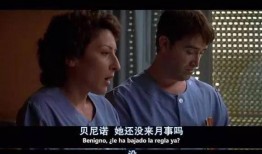 伦理电影在线观看影片,在线探索经典伦理电影之旅