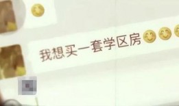 东莞头条刘先生爆料新闻,最新热点事件深度解析