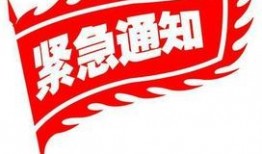 周五爆料的视频素材,一场震撼人心的幕后故事大公开