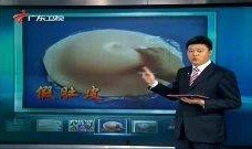 广东表哥爆料新闻视频,新闻视频背后的惊人真相