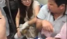石家庄阿姨爆料案件最新,揭秘背后惊人真相