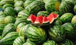 内蒙古拉拉圈网红吃瓜,揭秘草原网红背后的故事