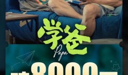 外国人爆料海豚湾视频播放,外国人爆料视频震撼曝光