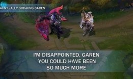 神王盖伦爆料视频大全,揭秘视频大全背后的精彩故事