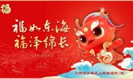 龙年cc视频爆料大全,揭秘热门话题与幕后真相