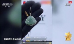 记者爆料翡翠直播间视频,记者爆料视频背后的惊人真相
