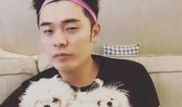 赵磊新综艺爆料了吗视频,精彩瞬间抢先看