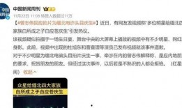爆料缅北明星视频播放,网络传播背后的真相与反思
