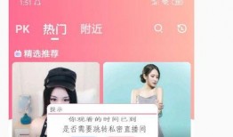 爆料奶昔直播话术大全视频,爆款内容背后的秘诀解析