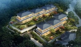 郑州蓝城最新事件爆料,揭秘最新发展及影响