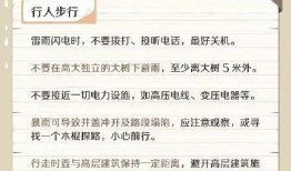 最新台风爆料视频播放大全