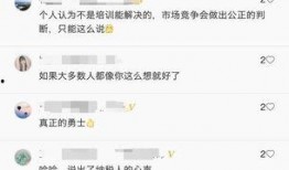 实名爆料吐槽视频,揭秘吐槽视频背后的真相与争议