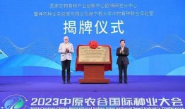 延边二三里新闻爆料,揭秘当地热点事件背后的真相