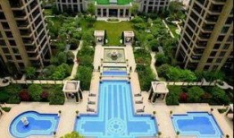 郑州蓝城最新事件爆料,揭秘最新发展及影响