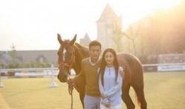 在线观看妻子的秘密,揭秘婚姻背后的真相与情感纠葛