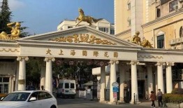 爆料关于闵行区的新闻,聚焦区域发展动态与民生热点