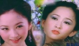 六公主爆料王大金视频,王大金视频背后的故事