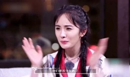 杨幂金瀚最新爆料,揭秘XXX幕后故事与情感纠葛