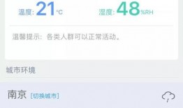 猫咪app官网最新版本爆料,功能升级，体验焕新！