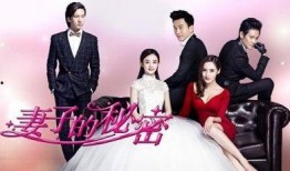 在线观看妻子的秘密,揭秘婚姻背后的真相与情感纠葛