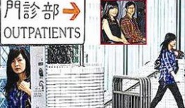 龙宝宝爆料最新版,揭秘神秘版本背后的惊喜与变革