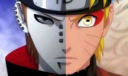 忍者爆料佩恩视频下载,忍者爆料视频下载背后的惊人真相